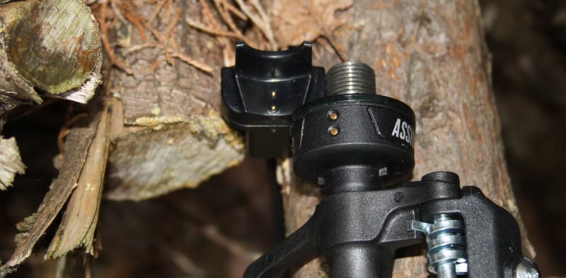 Favero Assioma duo uno review p1 vector