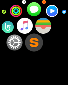 apple watch stryd