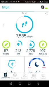 dashboard-summary-ionic-fitbit app