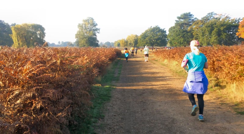 Bushy parkrun