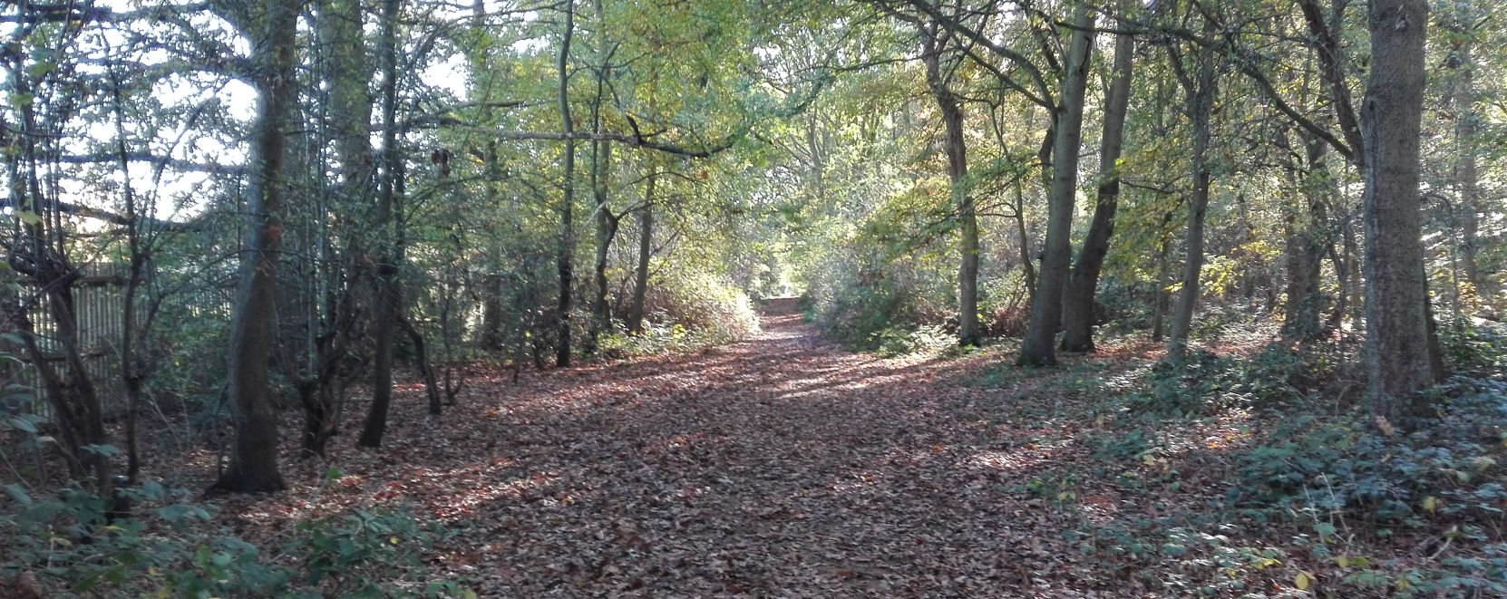 Personalised Coaching