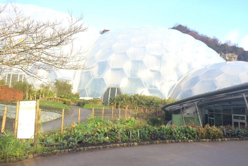 Eden Project parkrun