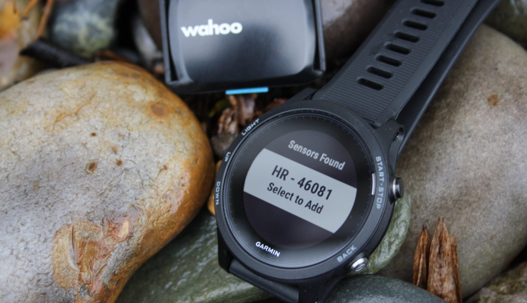 Wahoo Tickr Fit Review