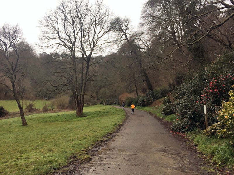 Mount Edgcumbe parkrun