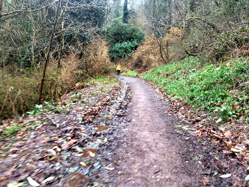 Mount Edgcumbe parkrun