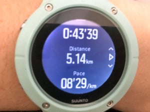 Mount Edgcumbe parkrun