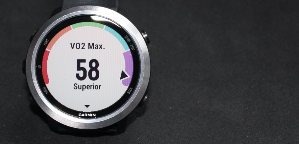 VO2max Forerunner 645