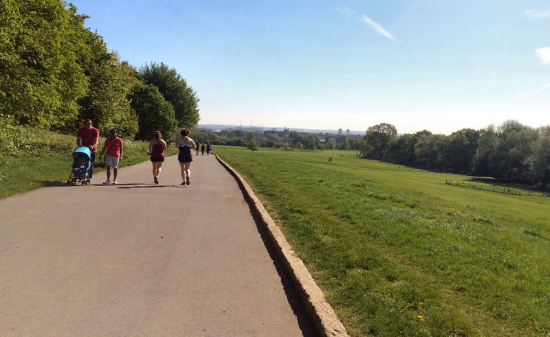 Ally Pally parkrun