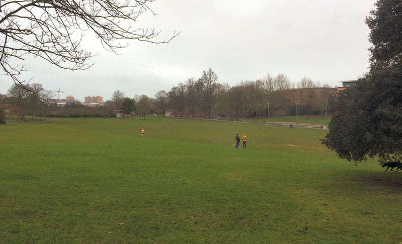 Brighton and Hove parkrun