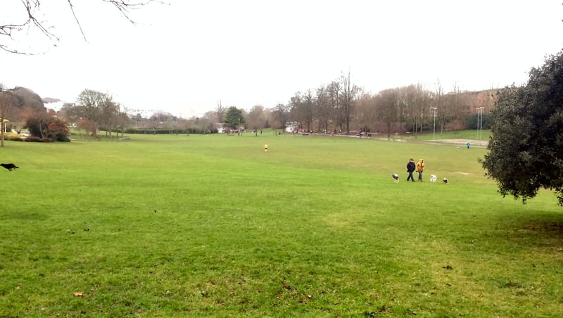 Brighton and Hove parkrun