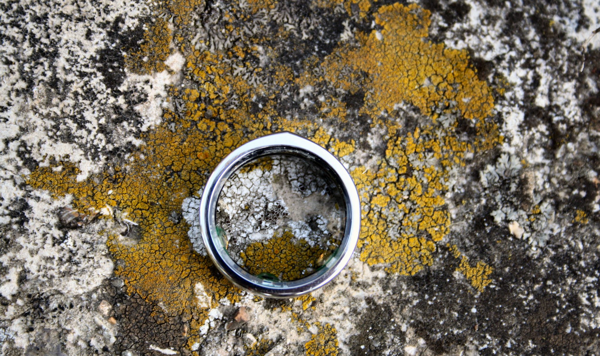 New Oura Ring Review