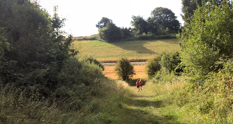 Queen Elizabeth parkrun