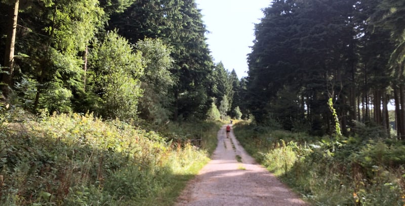 Queen Elizabeth parkrun
