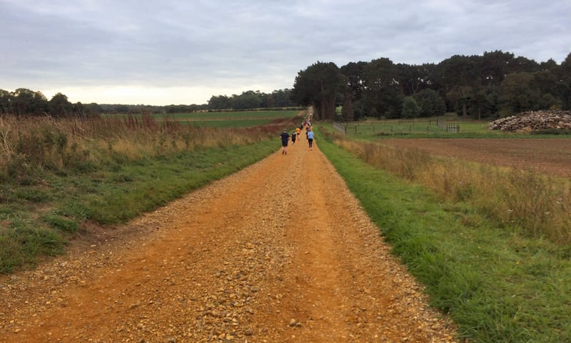 Holkham Parkrun - Youtube, Pictures, Course Description & Info