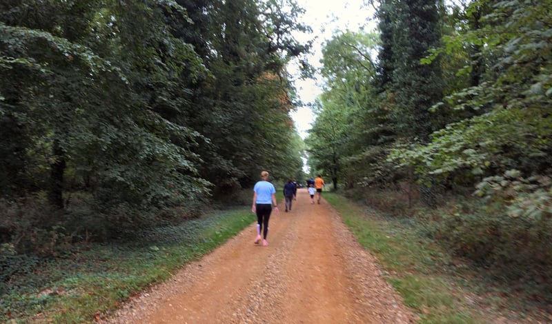 Holkham parkrun