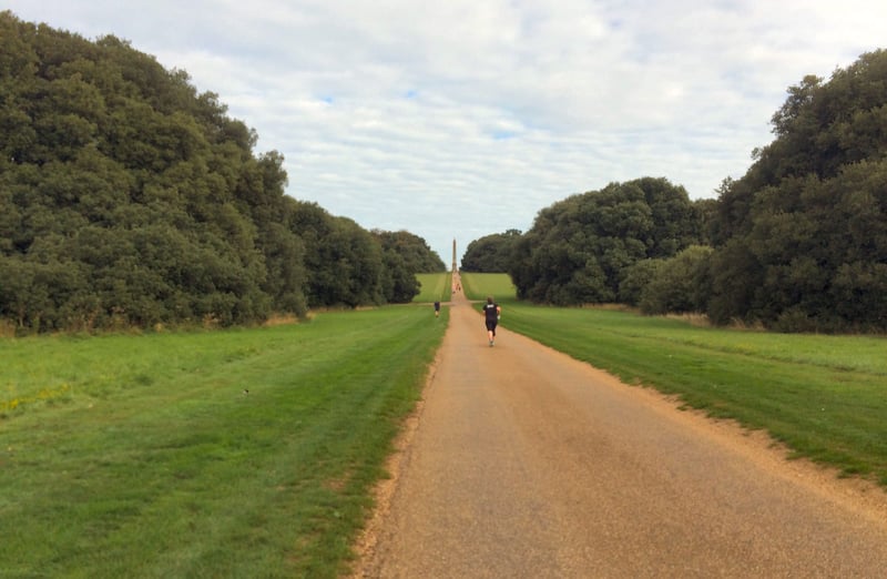 Holkham Parkrun - Youtube, Pictures, Course Description & Info