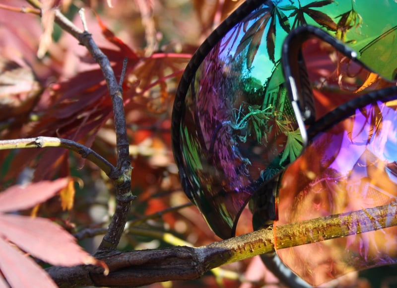 Sungod Pacebreakers - Winter Cycling & A Low Light Lens