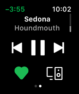 Spotify Apple Watch