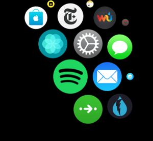 Spotify Apple Watch