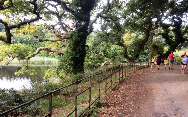 Penrose parkrun