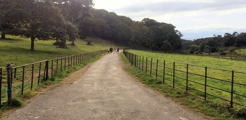 Penrose parkrun
