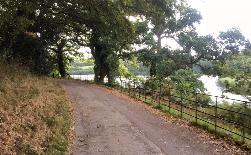 Penrose parkrun