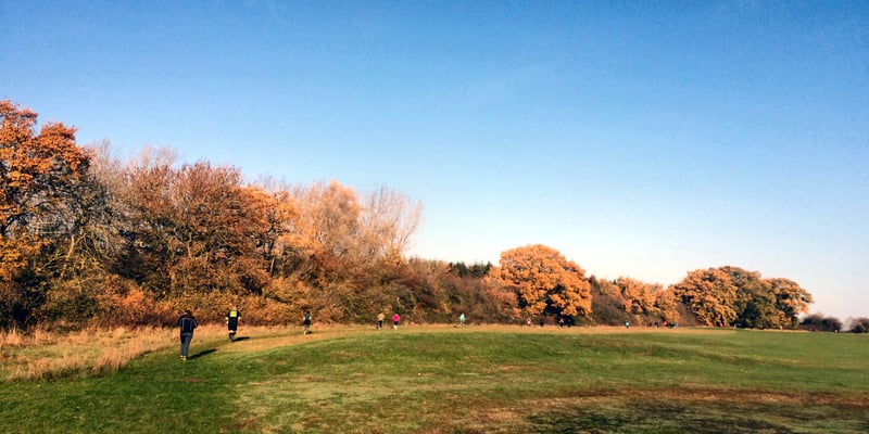 Harcourt Hill parkrun