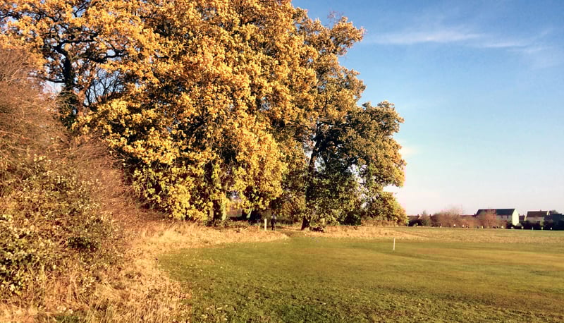 Harcourt Hill parkrun