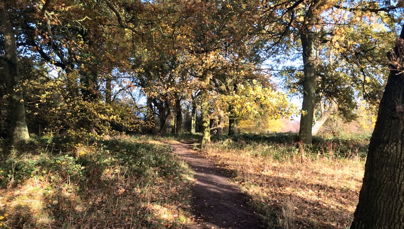 Harcourt Hill parkrun