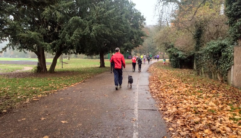 Wycombe Rye parkrun