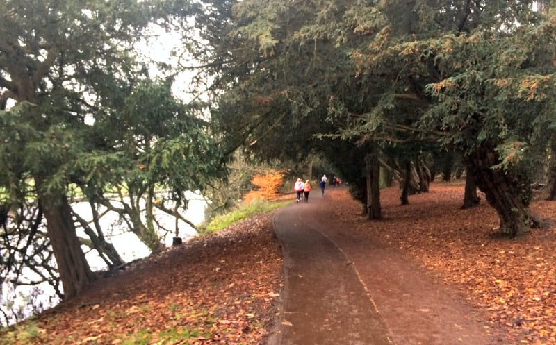 Wycombe Rye parkrun