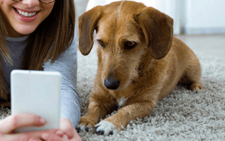 The Best Way To Get Dog Hair Out Of Car| Proven Tips