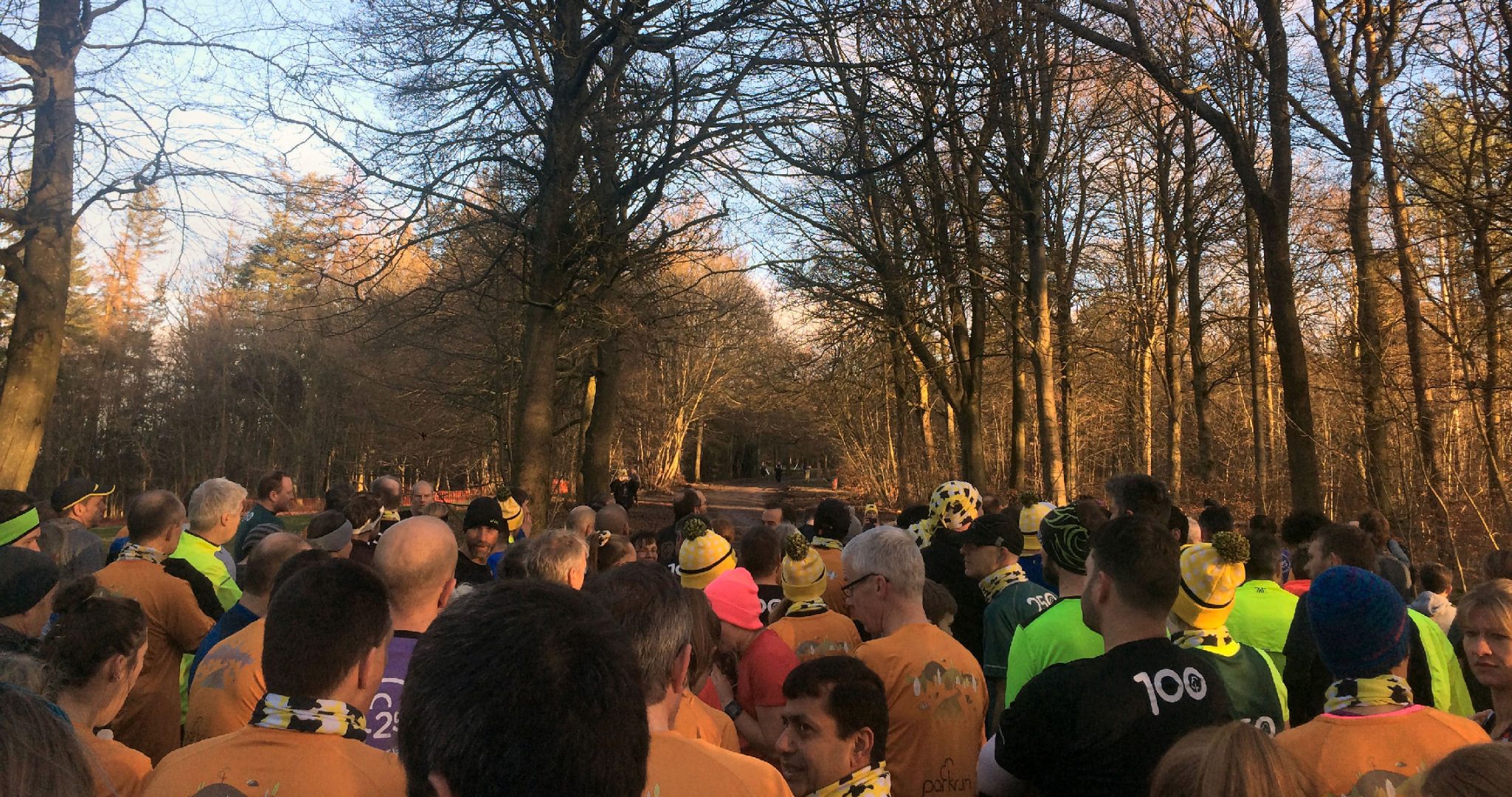Wendover Woods parkrun