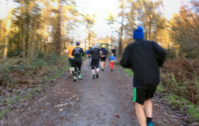 Wendover Woods parkrun