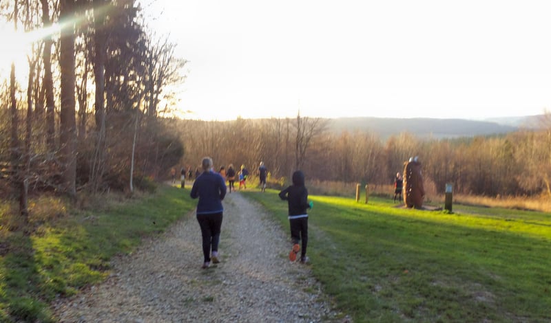 Wendover Woods parkrun