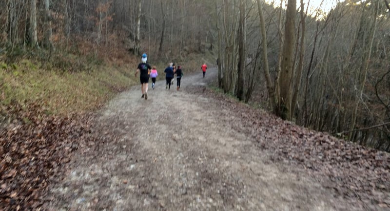 Wendover Woods parkrun