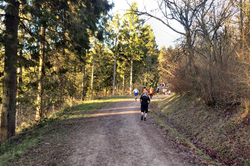 Wendover Woods parkrun