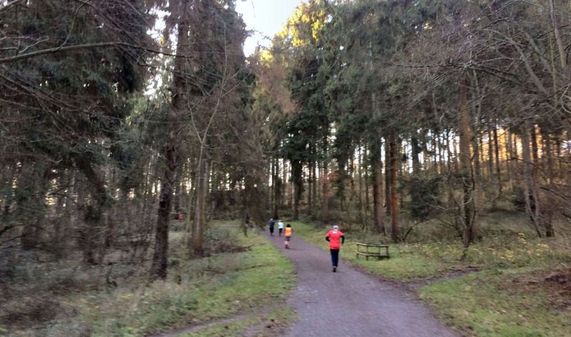 Wendover Woods parkrun