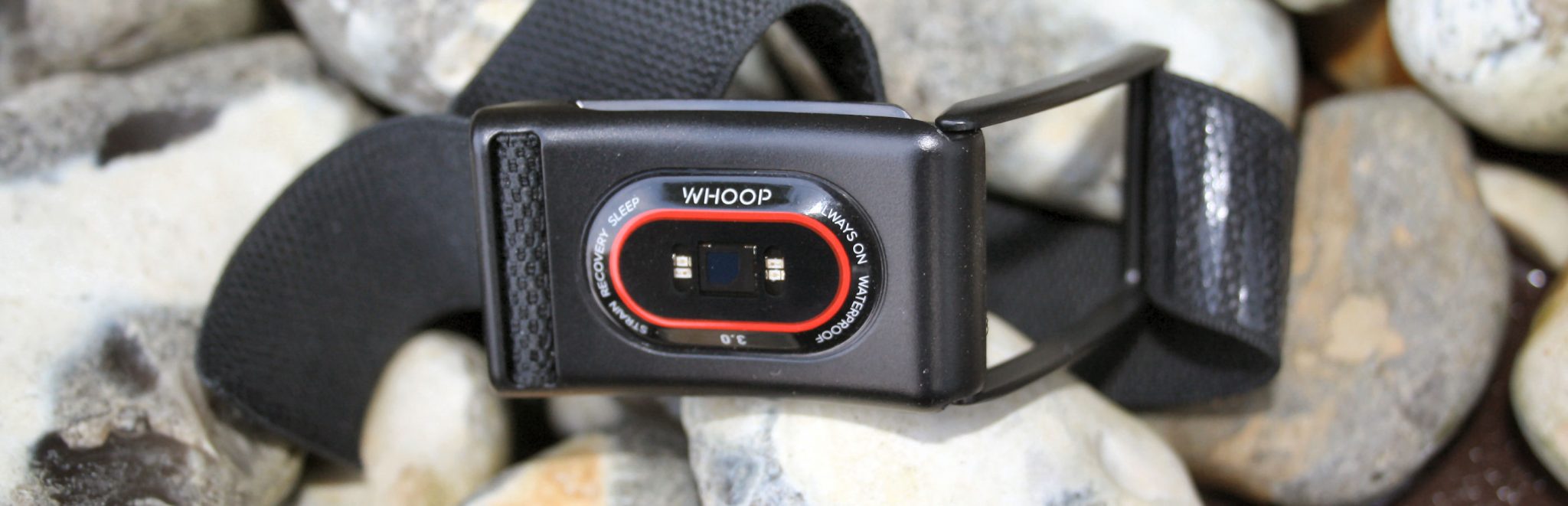 whoop 3 review strap 2019 2020 reddit membership bicep