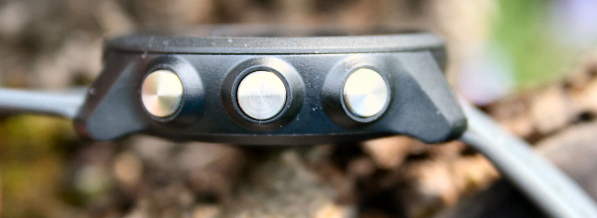 Garmin Forerunner 245 Review