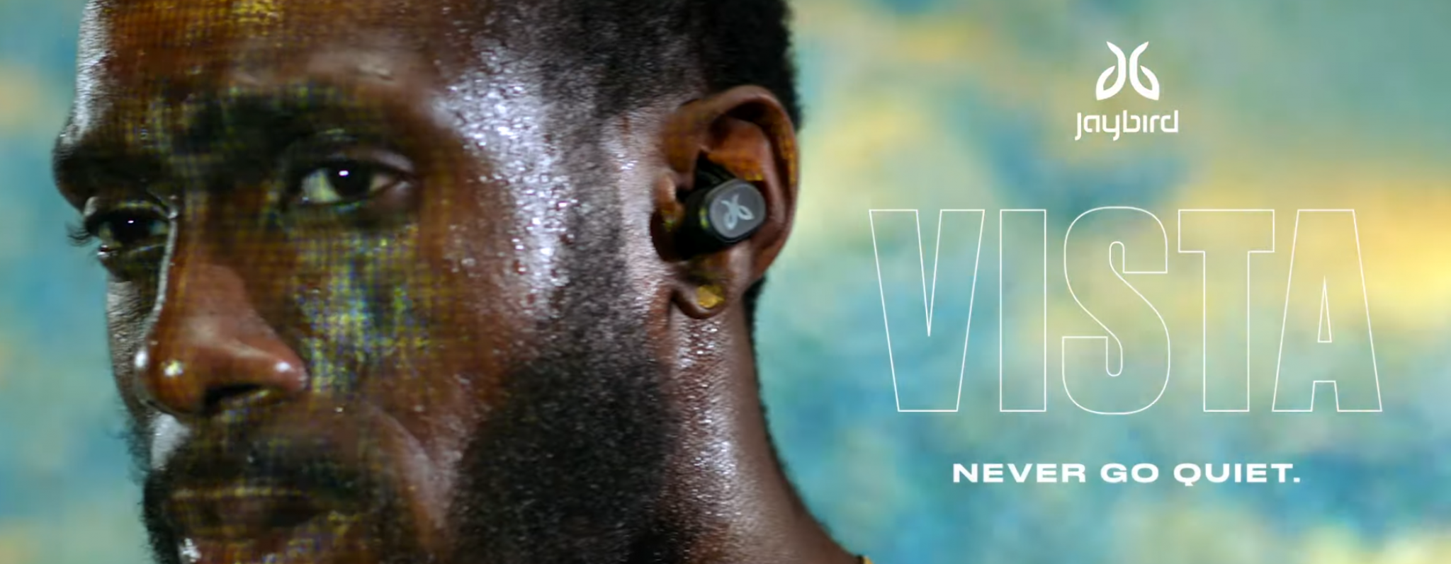 Jaybird Vista Specs & Opinion - Sport True Wireless Earbuds