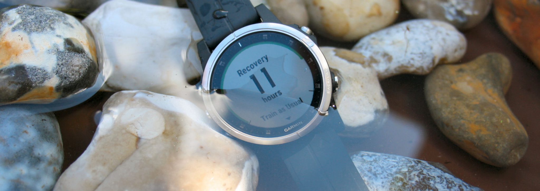 Garmin Fenix 5S Plus Review