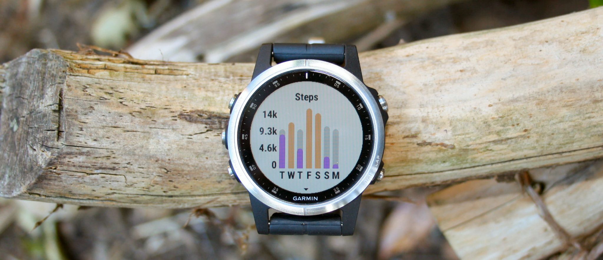 Garmin Fenix 5S Plus Review