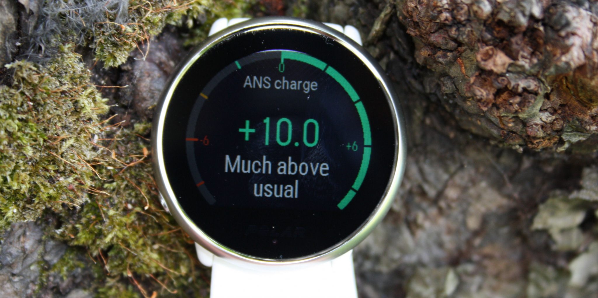 Polar Ignite Review Sleep