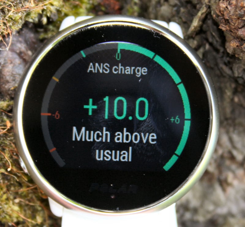 Polar Ignite Review Sleep