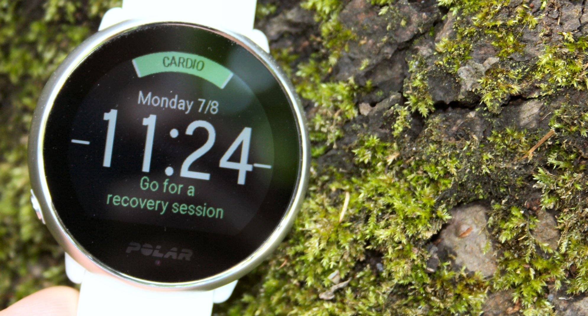 Polar Ignite Review Specifications