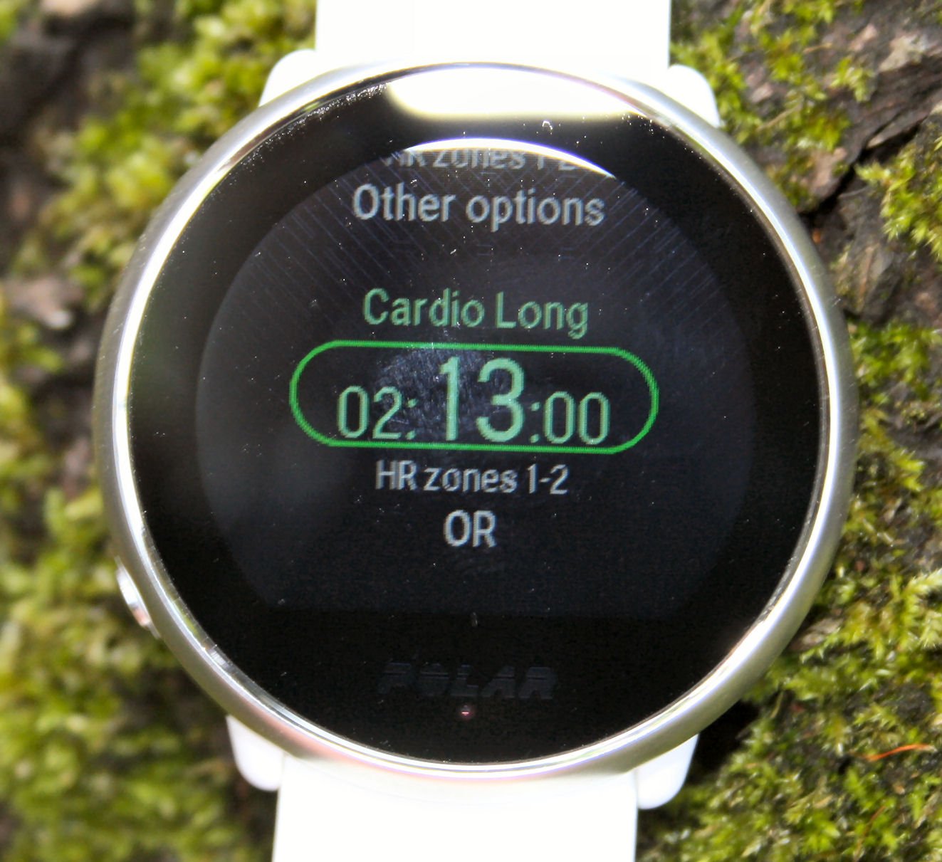 Polar Ignite Review Specifications