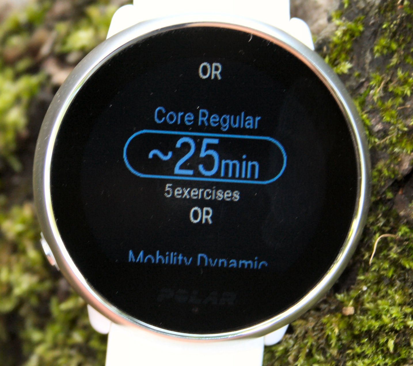 Polar Ignite Review Specifications