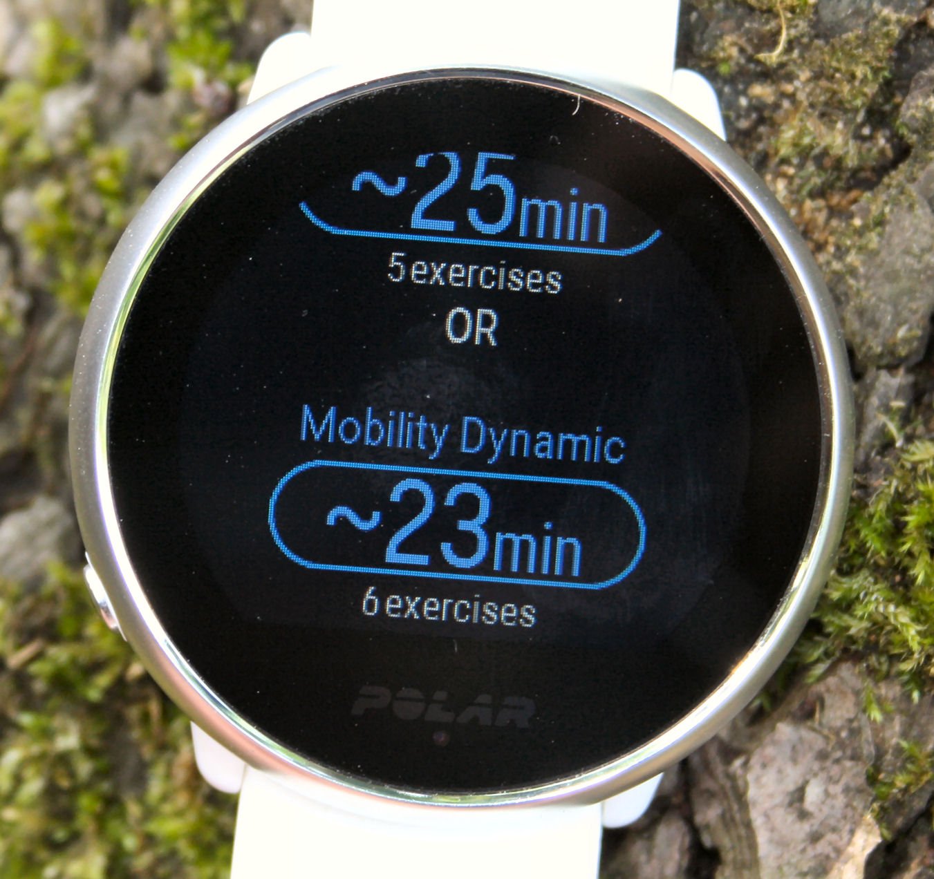 Polar Ignite Review Specifications
