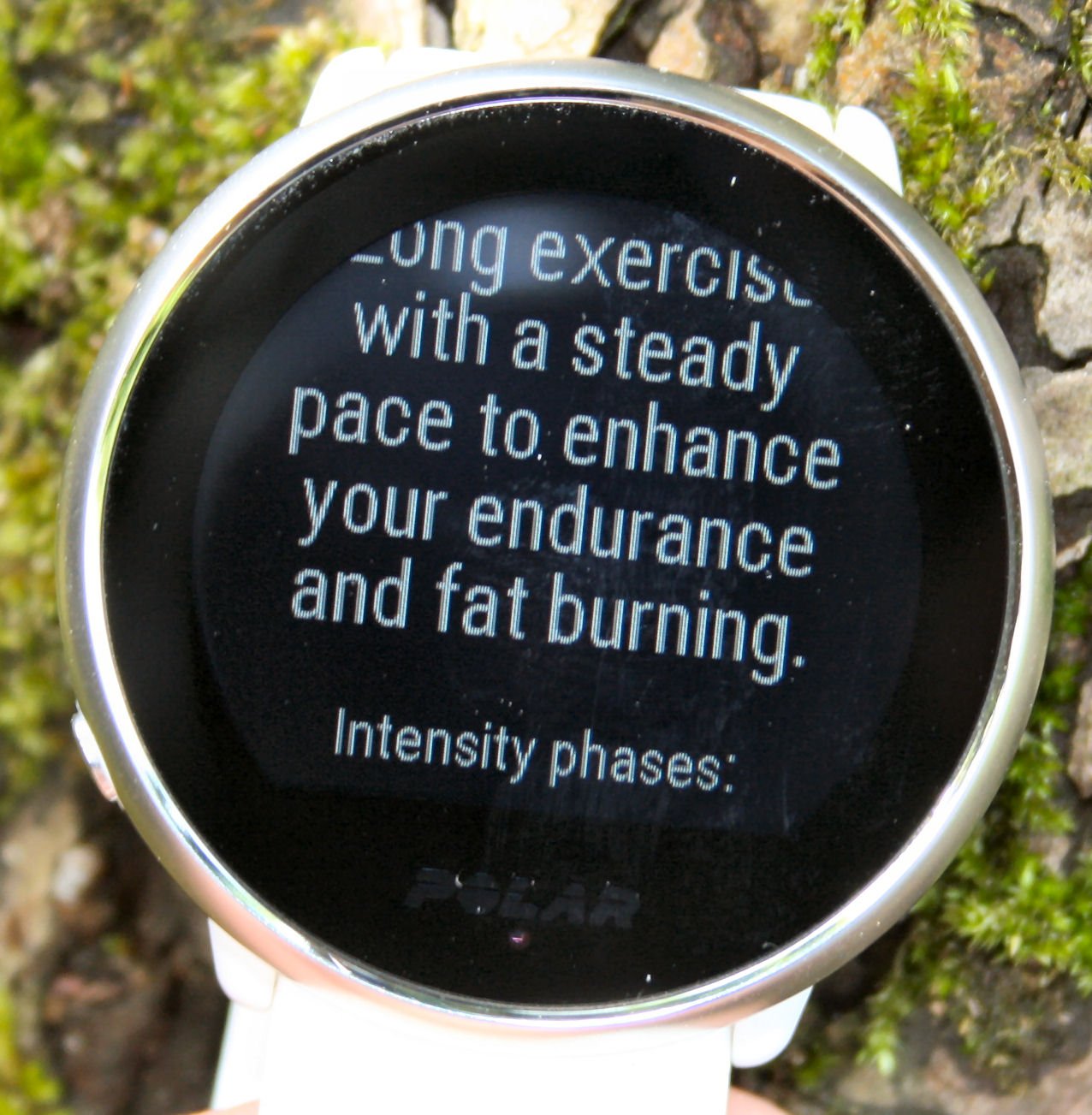 Polar Ignite Review Specifications